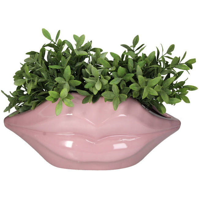 Planter Lips Pink